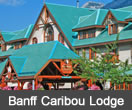 banff caribou lodge