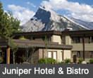 juniper hotel