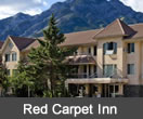 red carpet inn